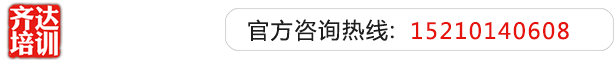 https/草逼齐达艺考文化课-艺术生文化课,艺术类文化课,艺考生文化课logo